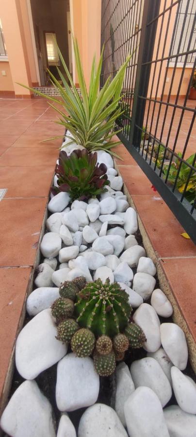 Villa Terreros San Juan de los Terreros Eksteriør bilde
